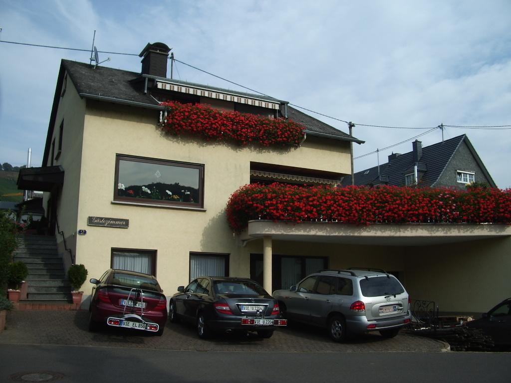 Hotel Gaestehaus Resi Zeltingen-Rachtig Zewnętrze zdjęcie