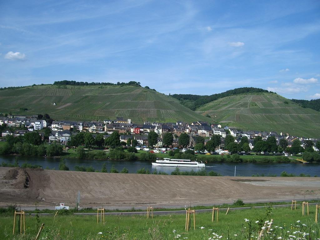 Hotel Gaestehaus Resi Zeltingen-Rachtig Zewnętrze zdjęcie