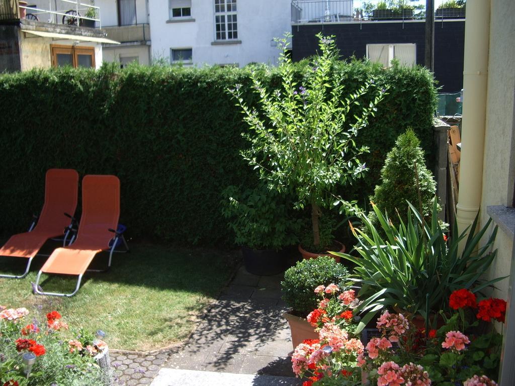 Hotel Gaestehaus Resi Zeltingen-Rachtig Zewnętrze zdjęcie